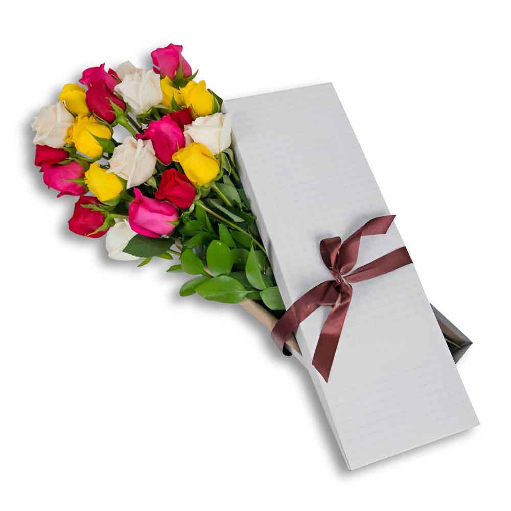 Caja 24 Rosas